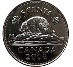Канадский бобр – неофициальный символ Канады