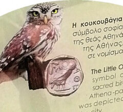 Фауна Акрополя в Афинах: птицы и животные Греции