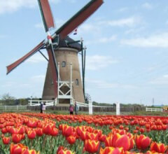 Голландская мельница не мелет зерно, она откачивает воду. Мельница и голландский менталитет